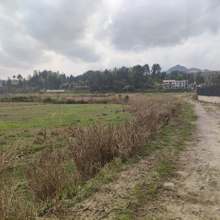 1647421696847668.png 圖片關鍵詞