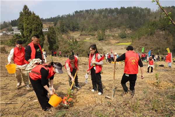 1710294582975736.jpg 5.jpg