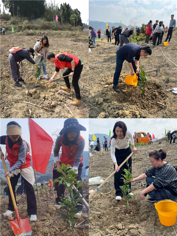 1710294628727873.jpg 7.jpg