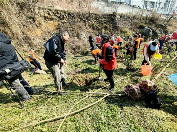 1710490519491266.png 圖片7.png