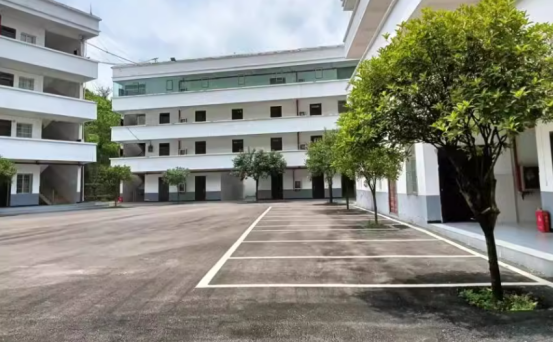 1743039134519519.png image.png