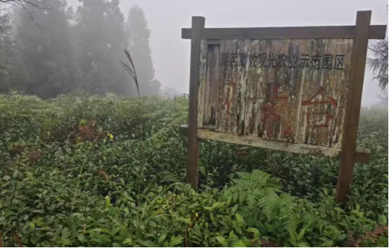 1743044521654557.png image.png