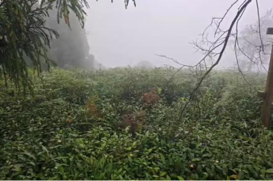 1743044526530753.png image.png