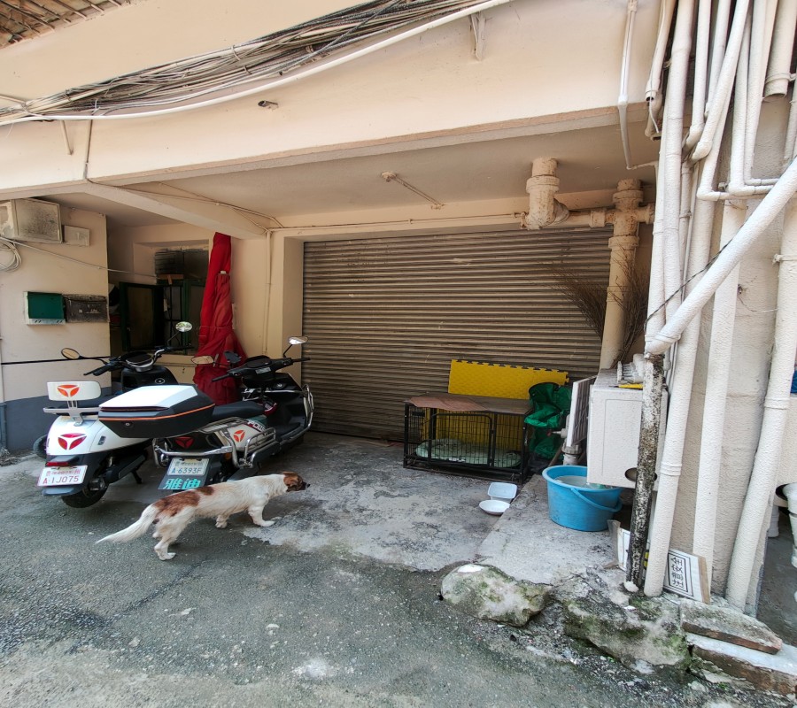 1755159501224930.jpg 圖片關鍵詞