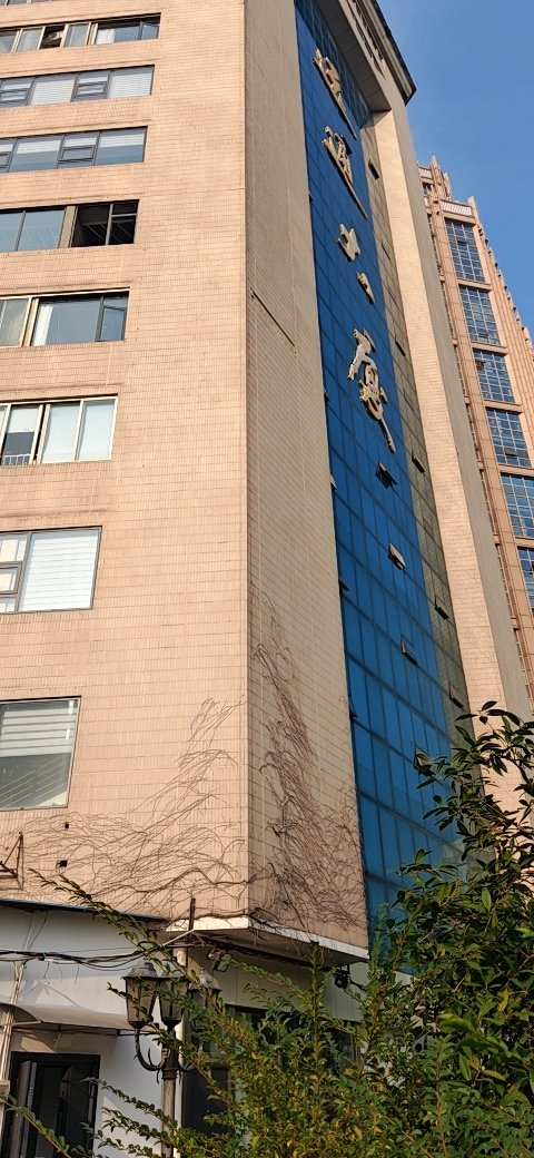 1765872966799432.png 1765872966799432.png