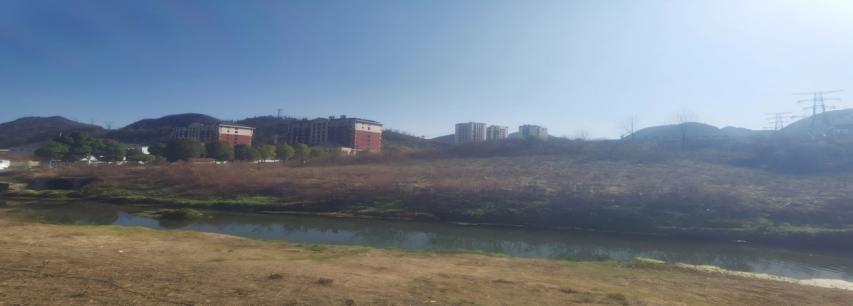 1770261638911417.png image.png