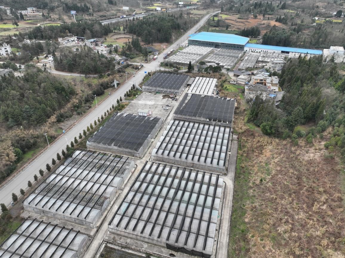 圖片關鍵詞 圖片關鍵詞