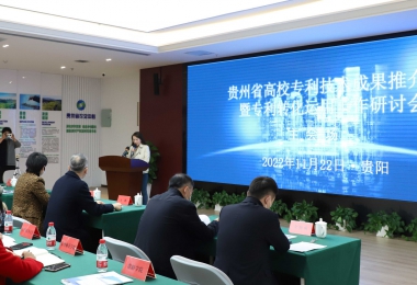 加強(qiáng)知識(shí)產(chǎn)權(quán)運(yùn)營(yíng) 助力實(shí)體經(jīng)濟(jì)發(fā)展——貴州省高校專(zhuān)利技術(shù)成果推介會(huì)暨專(zhuān)利轉(zhuǎn)化運(yùn)用研討會(huì)圓滿(mǎn)召開(kāi)