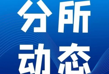 分所動態(tài)丨團隊添能賦力 共促分所發(fā)展