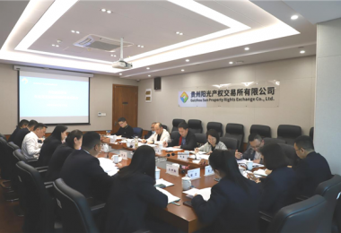 貴州省地方金融監(jiān)管局、貴州證監(jiān)局、貴陽市金融辦到貴州陽光產權交易所、貴州環(huán)交所開展權益類交易場所調研