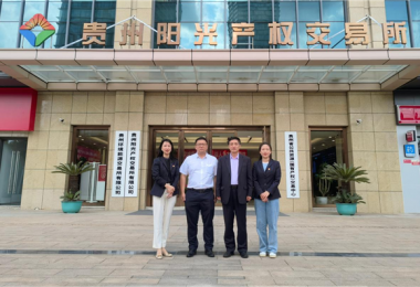 深入交流  共商發(fā)展——廣西北部灣產(chǎn)權(quán)交易所集團(tuán)股份有限公司與貴州陽(yáng)光產(chǎn)權(quán)交易所開展交流座談