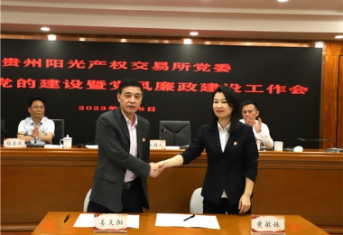 貴州陽光產(chǎn)權(quán)交易所黨委召開2023年黨的建設(shè)暨黨風(fēng)廉政建設(shè)工作會