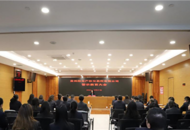 以案為鑒，警醒前行——貴州陽(yáng)光產(chǎn)權(quán)交易所黨委組織召開2024年警示教育大會(huì)