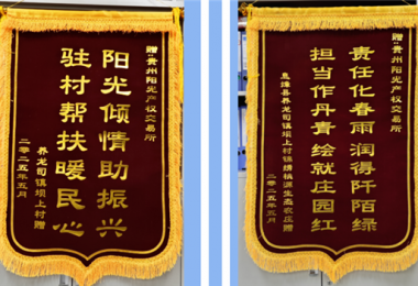 雙錦映紅鄉(xiāng)村振興路  陽光傾情澆灌壩上“春”——陽光產(chǎn)權(quán)交易所駐村幫扶獲贈感恩錦旗