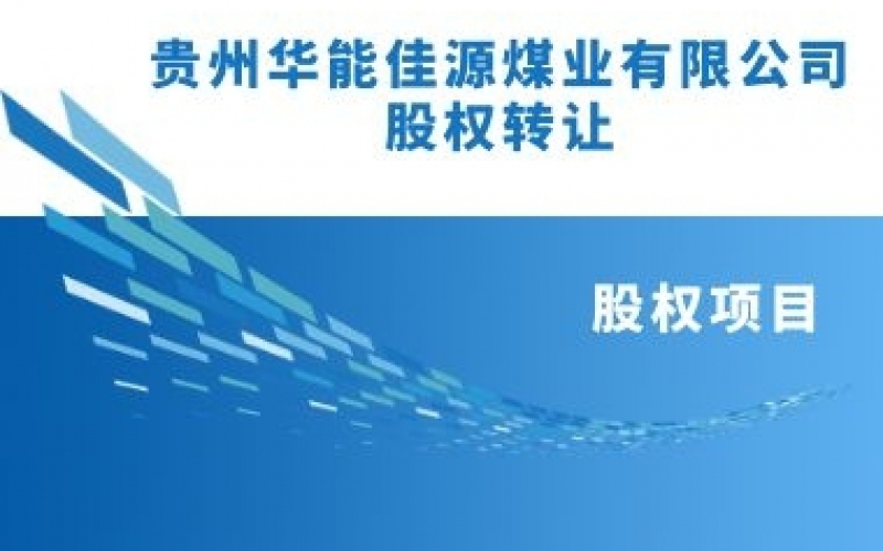 預披露貴州華能佳源煤業(yè)有限公司股權轉讓